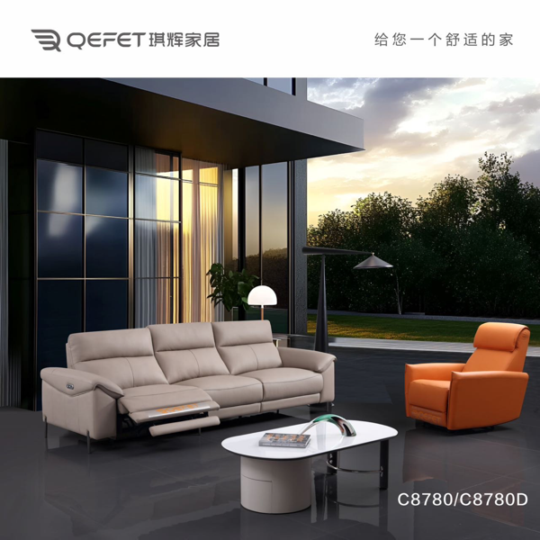 C8780#沙发