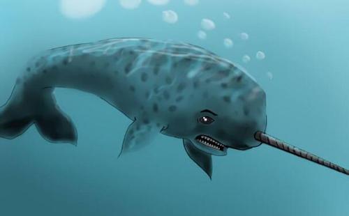 【图】独角鲸的资料介绍大全